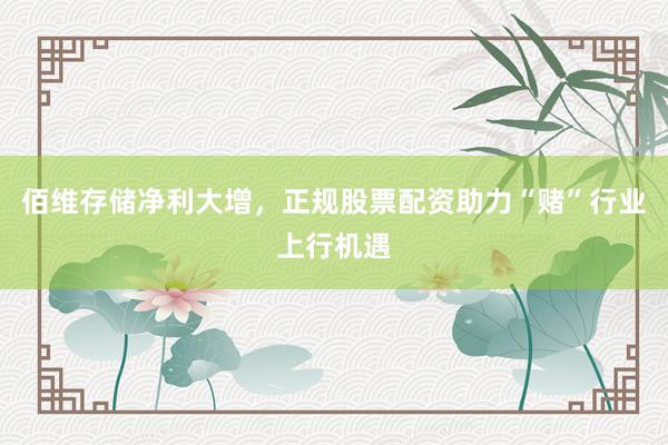 佰维存储净利大增，正规股票配资助力“赌”行业上行机遇