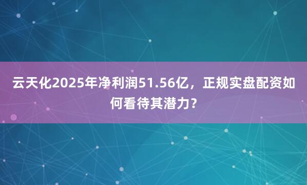 云天化2025年净利润51.56亿，正规实盘配资如何看待其潜力？