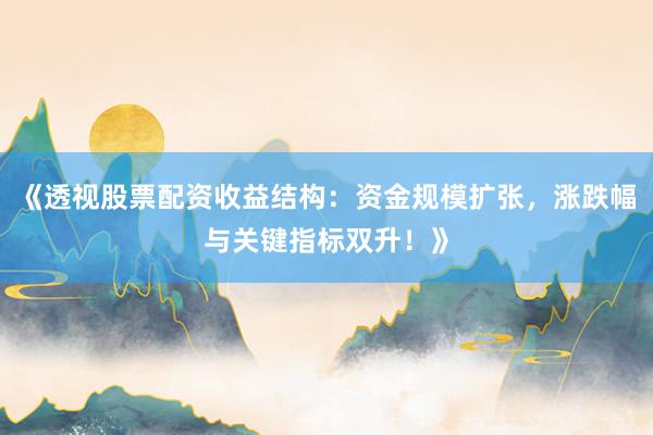 《透视股票配资收益结构：资金规模扩张，涨跌幅与关键指标双升！》