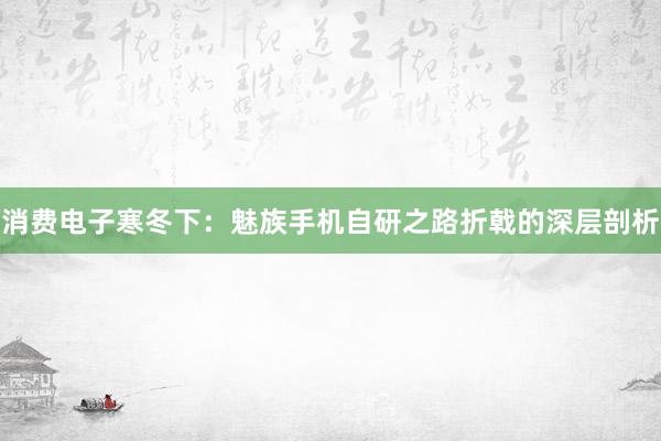 消费电子寒冬下：魅族手机自研之路折戟的深层剖析