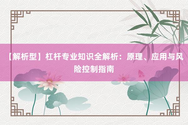 【解析型】杠杆专业知识全解析：原理、应用与风险控制指南