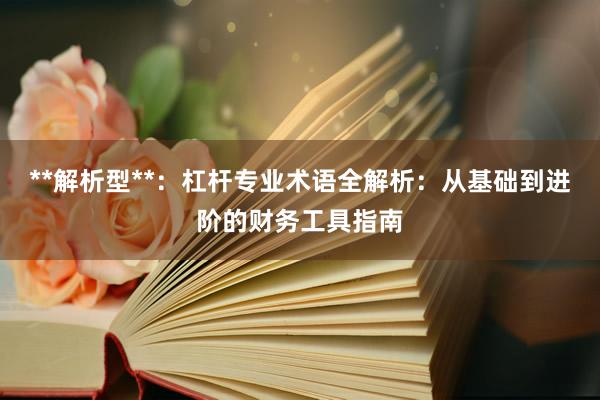 **解析型**：杠杆专业术语全解析：从基础到进阶的财务工具指南