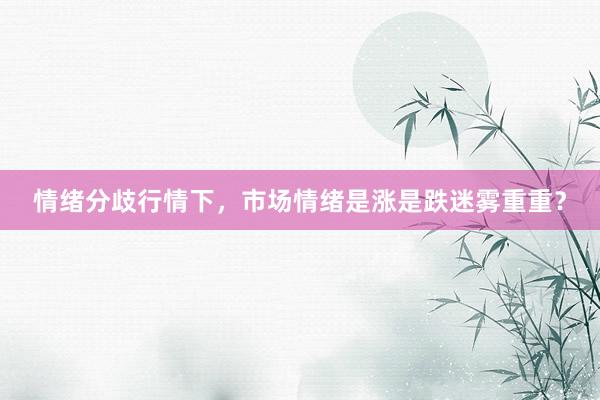 情绪分歧行情下，市场情绪是涨是跌迷雾重重？