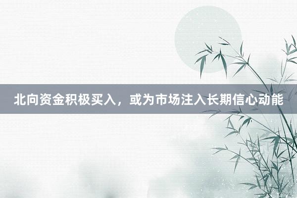 北向资金积极买入，或为市场注入长期信心动能