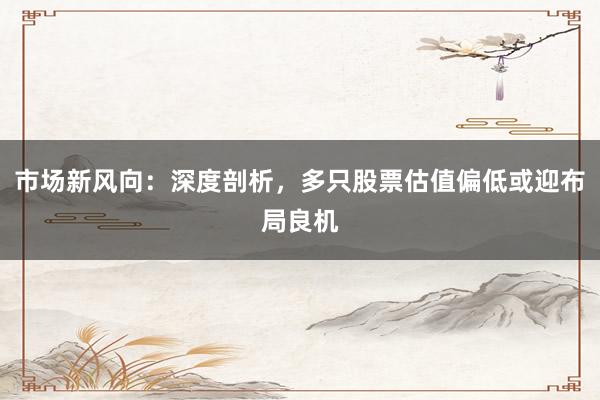 市场新风向：深度剖析，多只股票估值偏低或迎布局良机