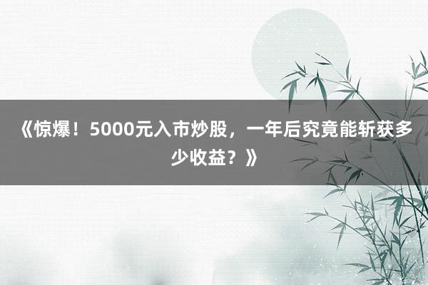 《惊爆！5000元入市炒股，一年后究竟能斩获多少收益？》