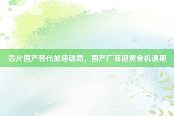 芯片国产替代加速破局，国产厂商迎黄金机遇期