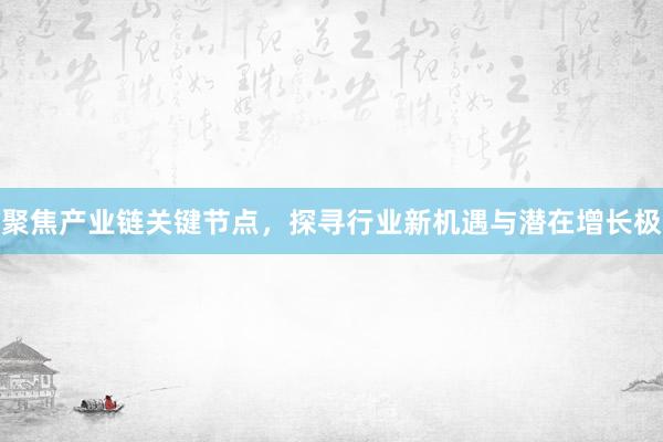 聚焦产业链关键节点，探寻行业新机遇与潜在增长极