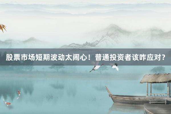 股票市场短期波动太闹心！普通投资者该咋应对？