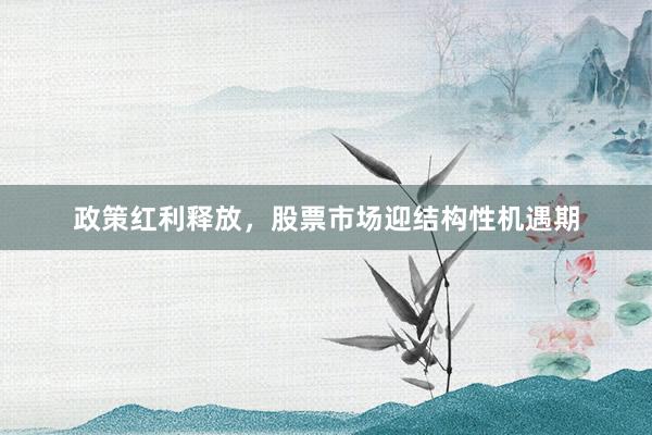 政策红利释放，股票市场迎结构性机遇期