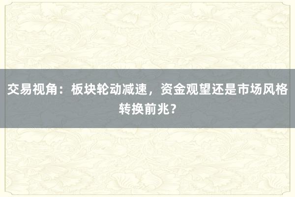 交易视角：板块轮动减速，资金观望还是市场风格转换前兆？