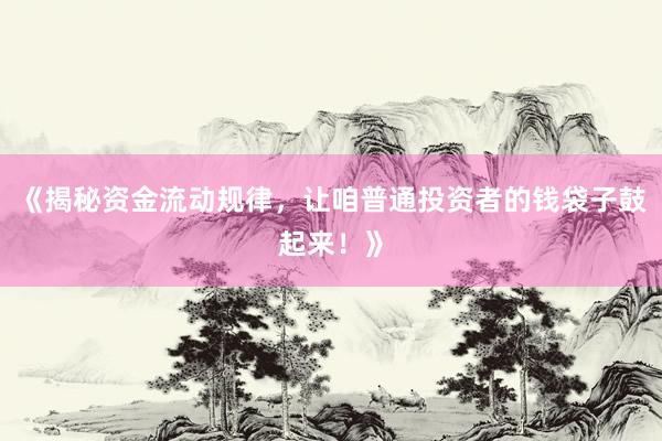 《揭秘资金流动规律，让咱普通投资者的钱袋子鼓起来！》