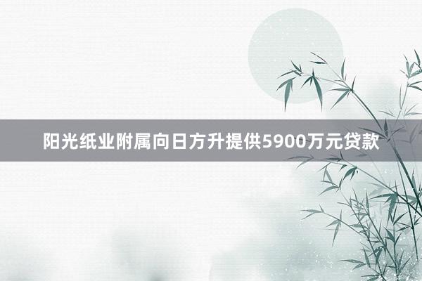 阳光纸业附属向日方升提供5900万元贷款
