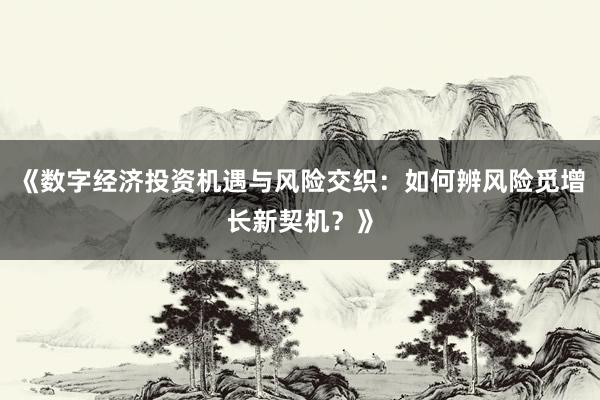 《数字经济投资机遇与风险交织：如何辨风险觅增长新契机？》