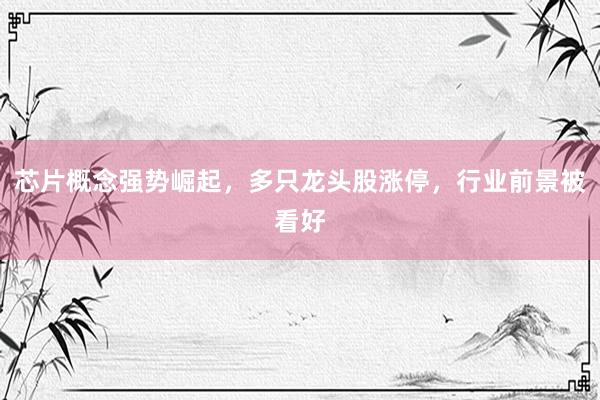 芯片概念强势崛起，多只龙头股涨停，行业前景被看好