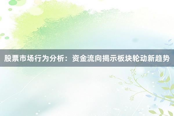 股票市场行为分析：资金流向揭示板块轮动新趋势