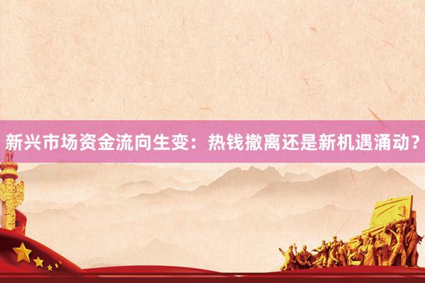 新兴市场资金流向生变：热钱撤离还是新机遇涌动？