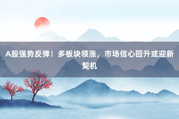 A股强势反弹！多板块领涨，市场信心回升或迎新契机