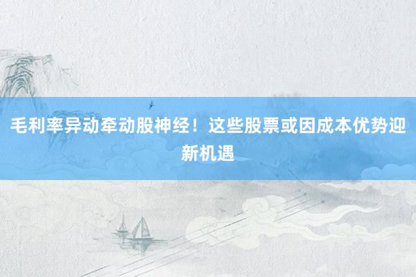 毛利率异动牵动股神经！这些股票或因成本优势迎新机遇