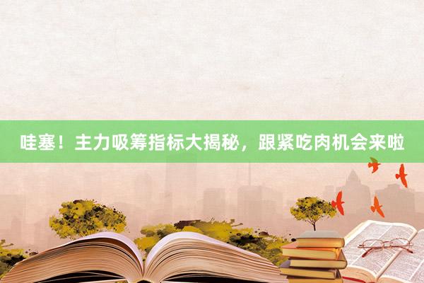 哇塞！主力吸筹指标大揭秘，跟紧吃肉机会来啦