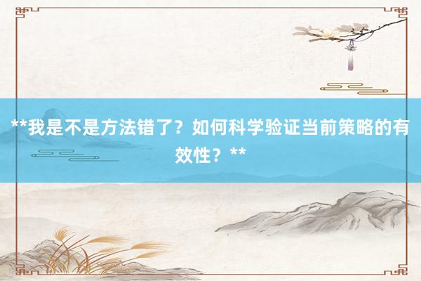 **我是不是方法错了？如何科学验证当前策略的有效性？**